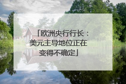 欧洲央行行长：美元主导地位正在变得不确定