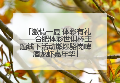 激情一夏 体彩有礼——合肥体彩世俱杯主题线下活动燃爆骆岗啤酒龙虾嘉年华