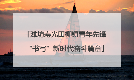 潍坊寿光田柳镇青年先锋“书写”新时代奋斗篇章