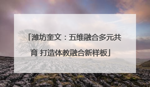 潍坊奎文：五维融合多元共育 打造体教融合新样板