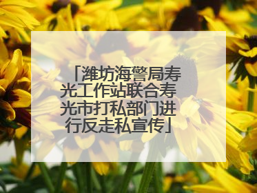 潍坊海警局寿光工作站联合寿光市打私部门进行反走私宣传
