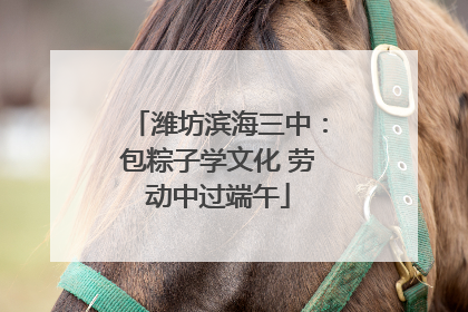 潍坊滨海三中：包粽子学文化 劳动中过端午