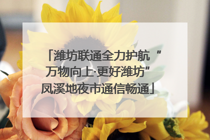 潍坊联通全力护航“万物向上·更好潍坊”凤溪地夜市通信畅通