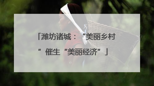 潍坊诸城：“美丽乡村”催生“美丽经济”