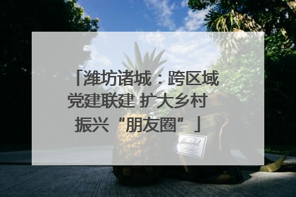 潍坊诸城：跨区域党建联建 扩大乡村振兴“朋友圈”