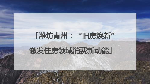 潍坊青州：“旧房焕新”激发住房领域消费新动能