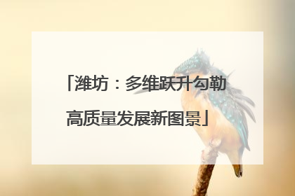 潍坊：多维跃升勾勒高质量发展新图景