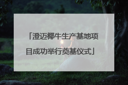 澄迈椰牛生产基地项目成功举行奠基仪式