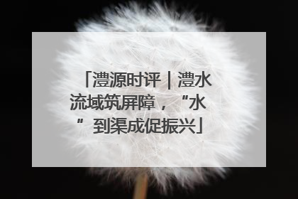 澧源时评｜澧水流域筑屏障，“水”到渠成促振兴