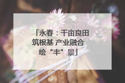 永春：千亩良田筑根基 产业融合绘“丰”景