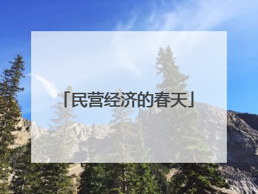民营经济的春天