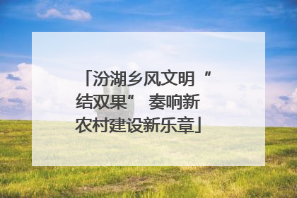 汾湖乡风文明“结双果” 奏响新农村建设新乐章