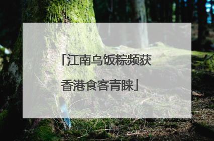 江南乌饭粽频获香港食客青睐