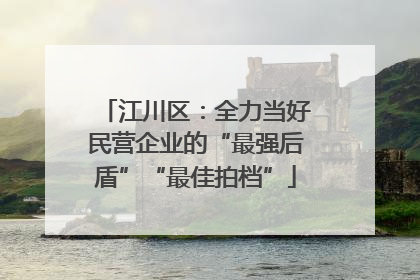 江川区：全力当好民营企业的“最强后盾”“最佳拍档”