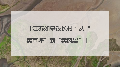 江苏如皋钱长村：从“卖草坪”到“卖风景”
