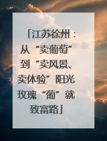 江苏徐州：从“卖葡萄”到“卖风景、卖体验”阳光玫瑰“葡”就致富路
