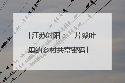 江苏射阳：一片桑叶里的乡村共富密码