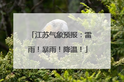 江苏气象预报：雷雨！暴雨！降温！