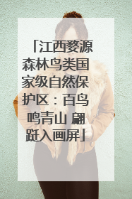 江西婺源森林鸟类国家级自然保护区：百鸟鸣青山 翩跹入画屏