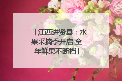 江西进贤县：水果采摘季开启 全年鲜果不断档