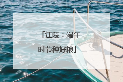 江陵：端午时节种好粮