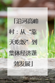 沿河高峰村：从“靠天吃饭”到集体经济蓬勃发展