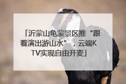 沂蒙山龟蒙景区推“跟着演出游山水”，云端KTV实现自由开麦