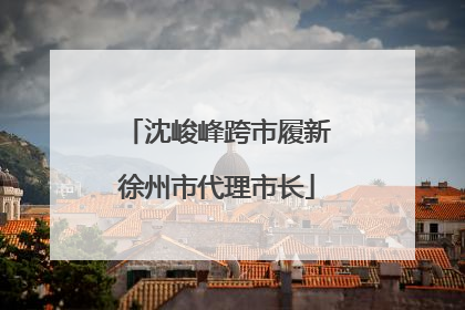 沈峻峰跨市履新徐州市代理市长