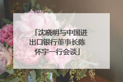 沈晓明与中国进出口银行董事长陈怀宇一行会谈