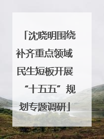 沈晓明围绕补齐重点领域民生短板开展“十五五”规划专题调研