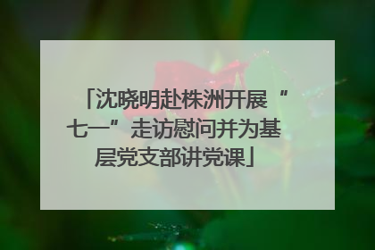 沈晓明赴株洲开展“七一”走访慰问并为基层党支部讲党课