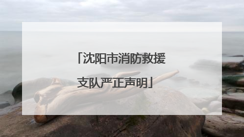 沈阳市消防救援支队严正声明