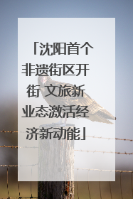 沈阳首个非遗街区开街 文旅新业态激活经济新动能