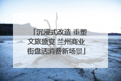 沉浸式改造 重塑文旅盛宴 兰州商业街盘活消费新场景