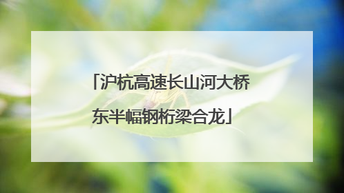 沪杭高速长山河大桥东半幅钢桁梁合龙