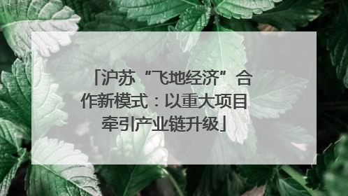沪苏“飞地经济”合作新模式：以重大项目牵引产业链升级