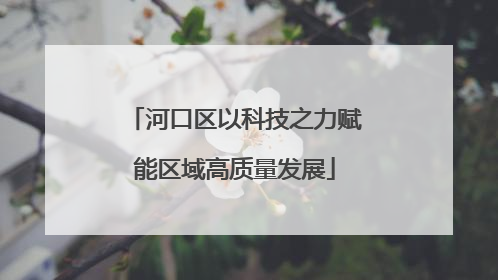 河口区以科技之力赋能区域高质量发展