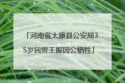 河南省太康县公安局35岁民警王振因公牺牲