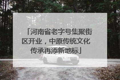 河南省老字号集聚街区开业，中原传统文化传承再添新地标