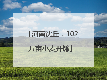 河南沈丘：102 万亩小麦开镰