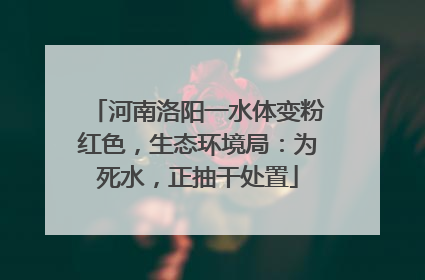 河南洛阳一水体变粉红色，生态环境局：为死水，正抽干处置