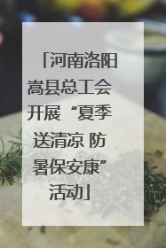 河南洛阳嵩县总工会开展“夏季送清凉 防暑保安康”活动