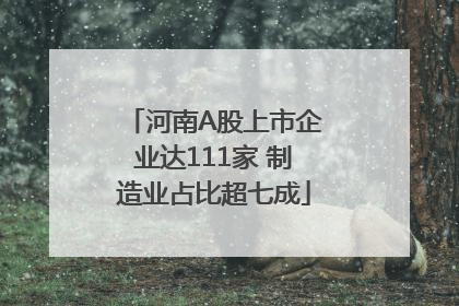 河南A股上市企业达111家 制造业占比超七成