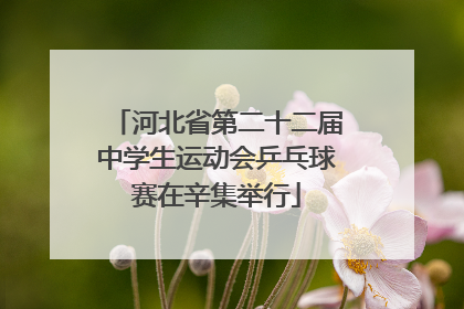 河北省第二十二届中学生运动会乒乓球赛在辛集举行