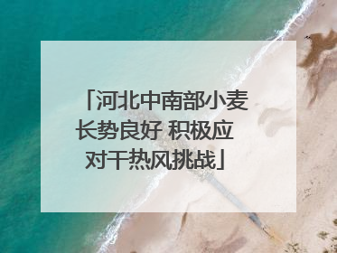 河北中南部小麦长势良好 积极应对干热风挑战