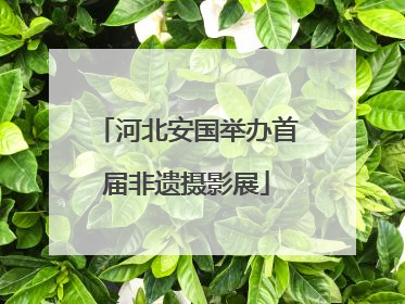 河北安国举办首届非遗摄影展