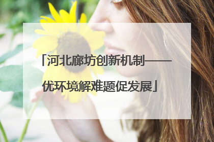 河北廊坊创新机制——优环境解难题促发展