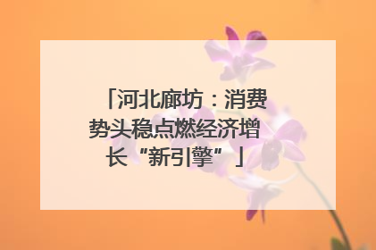 河北廊坊：消费势头稳点燃经济增长“新引擎”