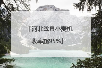 河北蠡县小麦机收率超95%