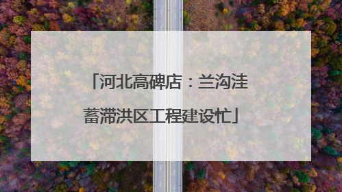 河北高碑店：兰沟洼蓄滞洪区工程建设忙